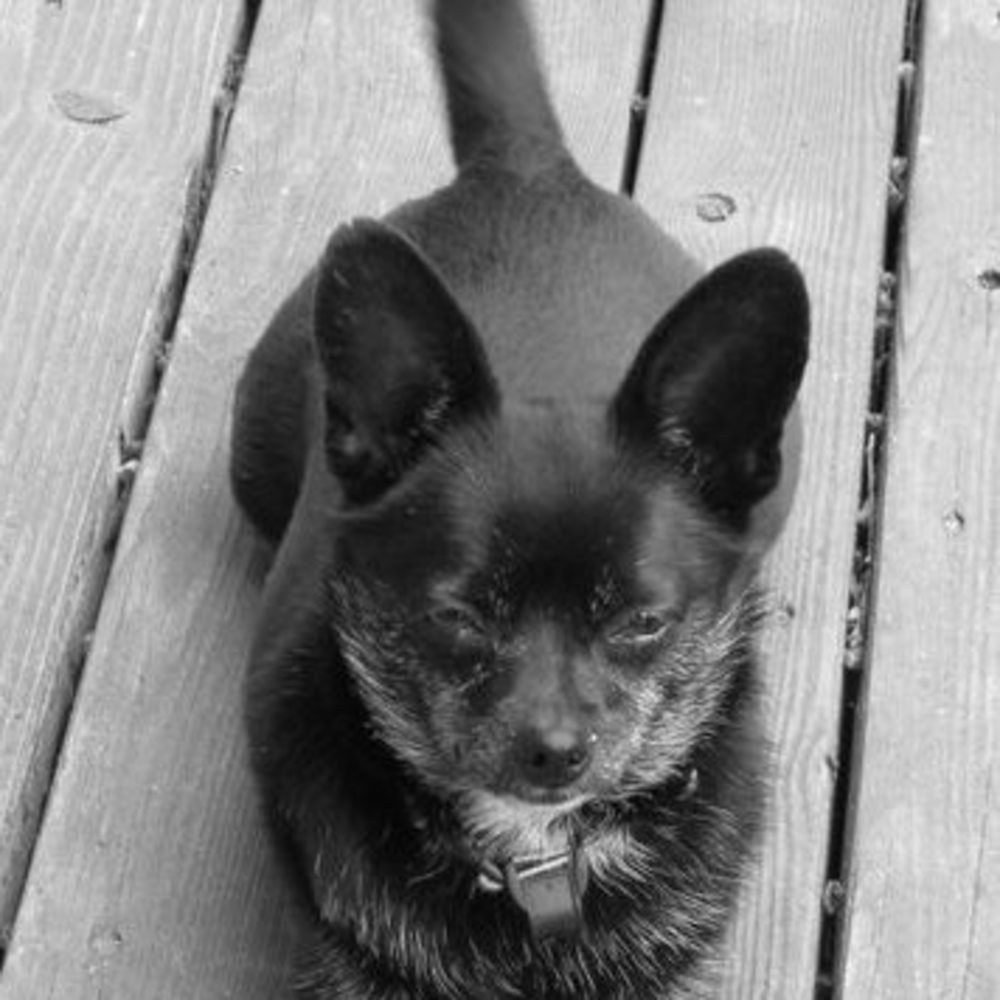 Meet your Posher, Lori